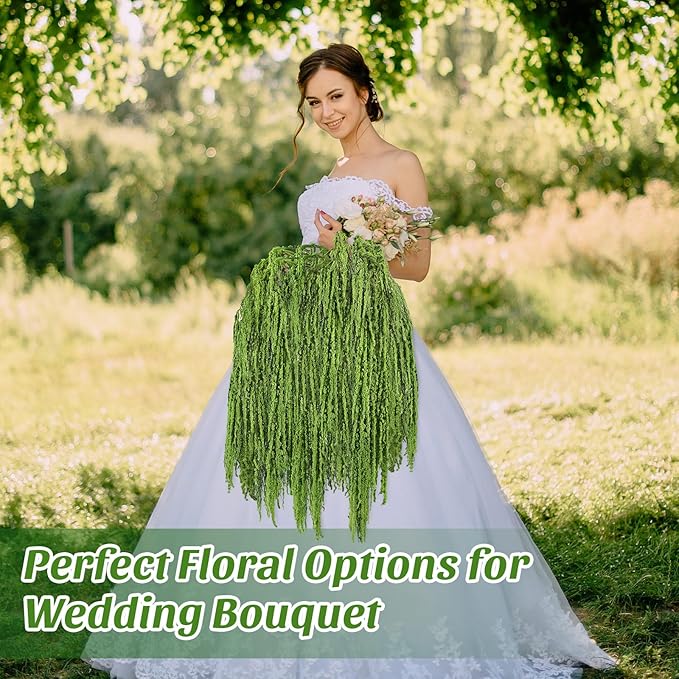 Suncalla Forest Green Spring Natural Dried Amaranthus Hanging Flowers Amaranthus Artificial Flowers for Wedding Arch Bouquet Floral Garland Wall Home Decoration (23 Inch,12 Pcs)