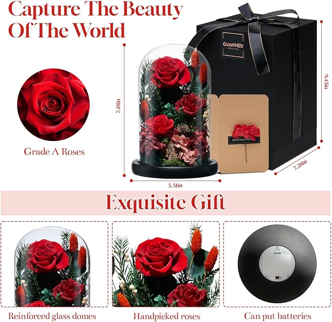 Preserved Roses,Forever Fresh Flowers 7.48in,Gift for Women,Mom,Grandma,Wife,Girlfriend,Sister,and Daughter Perfect for Birthday,Mother’s Day,Valentine’s Day (True Romance1)