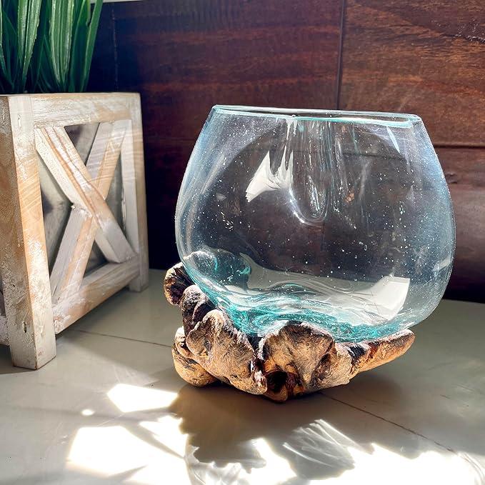 Decorative Vase, 5 Inch Melted Glass on Gamal Root Wood | Clear Bowl Shaped Over Organic Base, Each Piece Varies, For Succulents, Air Plants, Terrariums