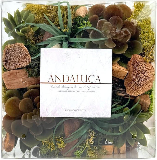 ANDALUCA Maison Box Fragrance Potpourri Decorative Succulent Moss Vase & Bowl Filler Home Décor (Moss Forest)