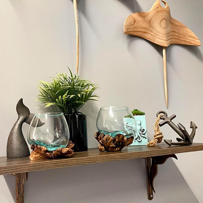 Decorative Vase, 5 Inch Melted Glass on Gamal Root Wood | Clear Bowl Shaped Over Organic Base, Each Piece Varies, For Succulents, Air Plants, Terrariums