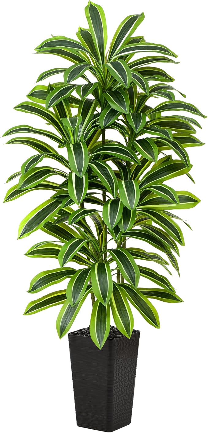 Artificial Dracaena Tree：6FT Faux Silk Tropical Yucca Floor Trees Realistic Fake Green Plant with Natural Wood Trunk & Lifelike Leaves for Home Office Decor Indoor & Outdoor (6FT,1-Pack,Black)