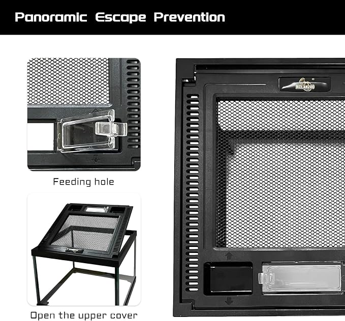 Mini Reptile Glass Terrarium Tank 8 * 8 * 6" Full View, Amphibians Habitat Enclosure Cage for Frog,Spiders,Dubia Cockroach,Praying Mantis,Cricket,Tarantula,Hermit Crab