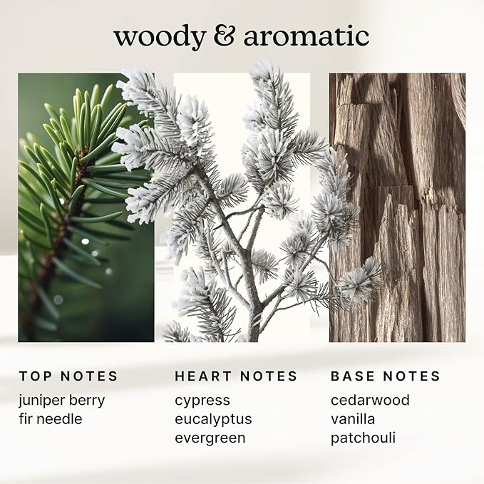 Homedics SereneScent Waterless Diffuser Oil Refill — Frosted Cypress (120ml). Invigorating Home Fragrance. Compatible with SereneScent Diffusers. Easy Twist Plug & Play