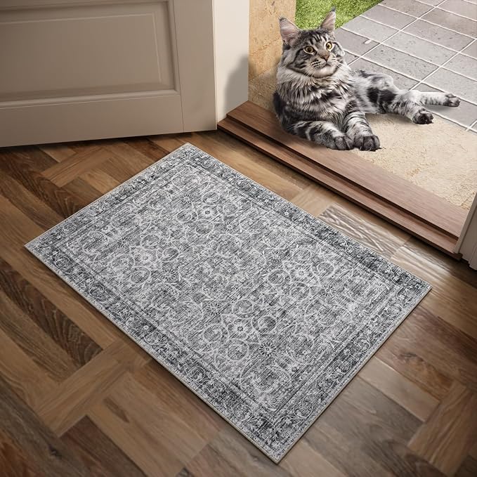 Machine Washable Entryway Small Area Rugs: Soft Non-Slip Low Pile Door Mat Indoor Entrance 2x3 ThrowRug for High-Traffic Areas Kitchen, Hallway, Farmhouse Decor