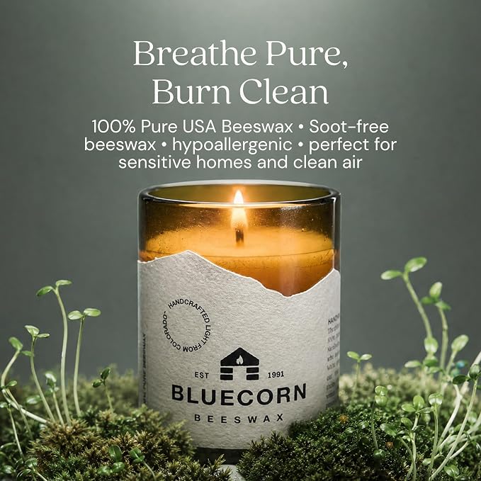 Bluecorn Beeswax 1-Wick Candle, 100% Pure Bees Wax, Amber Glass, Fragrance Free Candle Wax, Soy Free, Clean Burning, Long Lasting (35 Hr), Home Decor, Gifts for Women & Men, American Made, 8 Oz, 1 Ct