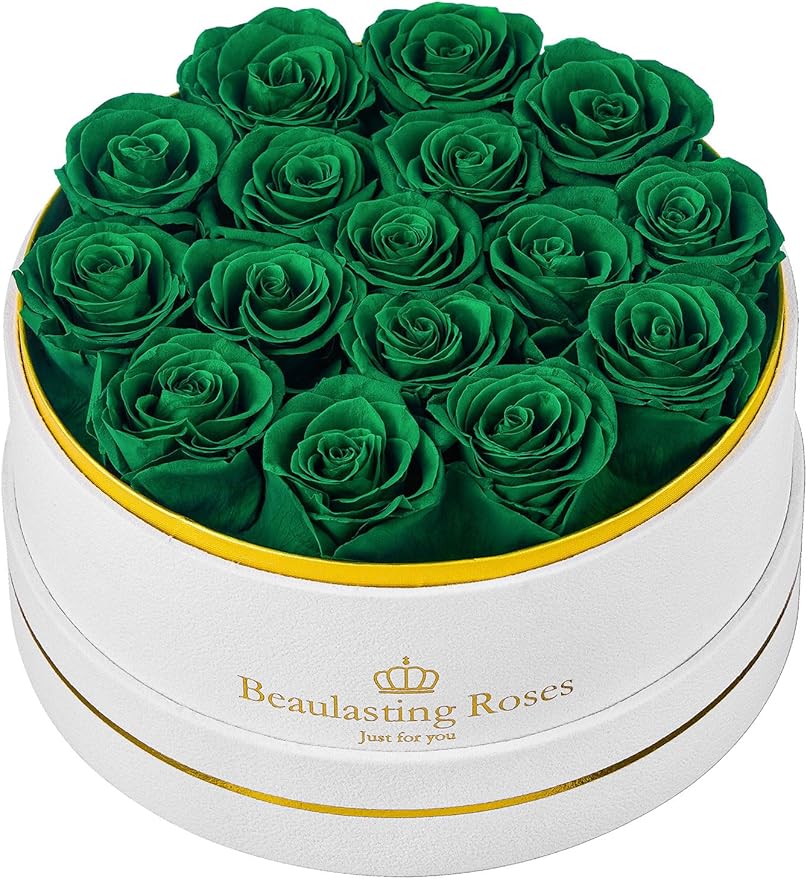 16 Preserved Roses Forever Flowers Real Roses in a Box Mother's Day Birthday Flowers for Her Mom Women Wife Valentine's Day, Green Roses