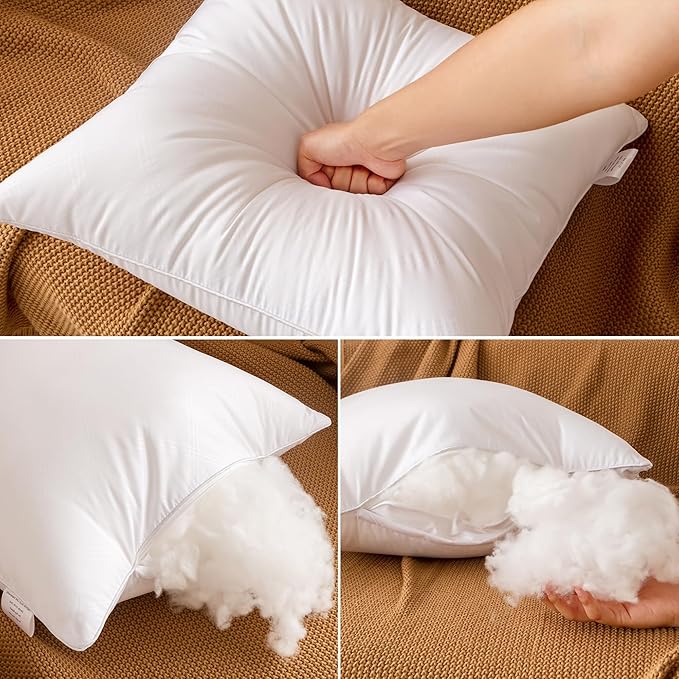 Oubonun 20 x 20 Throw Pillows Inserts Pack of 4 Decorative White Square Pillow Inserts, Premium Fluffy Pillow Insert Pair for Sofa Couch Living Room
