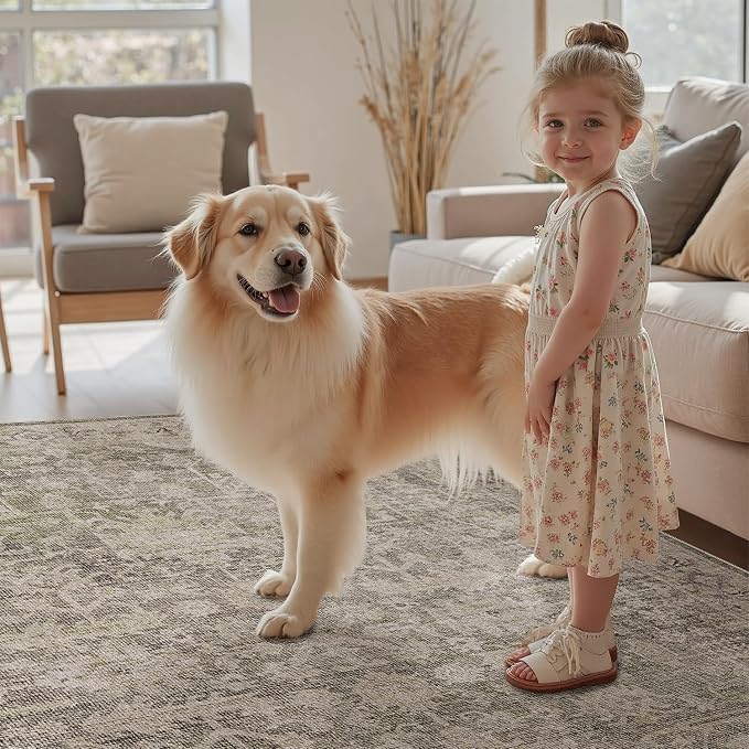 DCX Washable 5x7, Kid & Pet Friendly with Rubber Back Non Slip, Stain Resistant Vintage Rug for Living Room, Bedroom, Home Office, Soft Low Pile Large Farmhouse Distressed Carpet, Greige