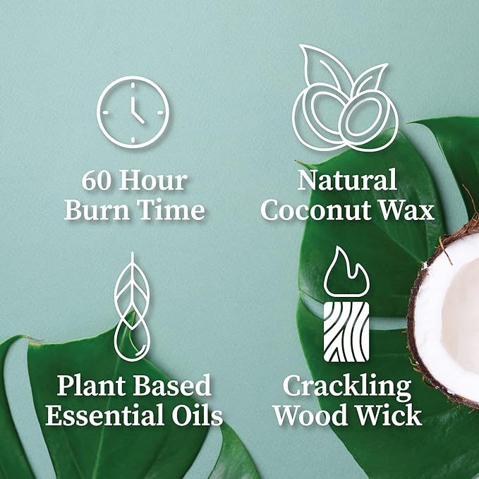 Hemlock Park Sandalwood Apothecary Scented Candle | Crackling Wood Wick, Botanical Fragrance & Coconut Apricot Wax | Up to 60 Hour Burn Time | 8 oz | Made in USA