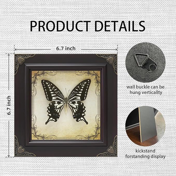 Handmade Real Butterfly Taxidermy Framed - 5-Piece Gift Set for Mother's Day - Gothic Home Decor and Vintage Frame - Butterflies Taxidermy Shadow Box Collection (Great Nawab Butterfly)