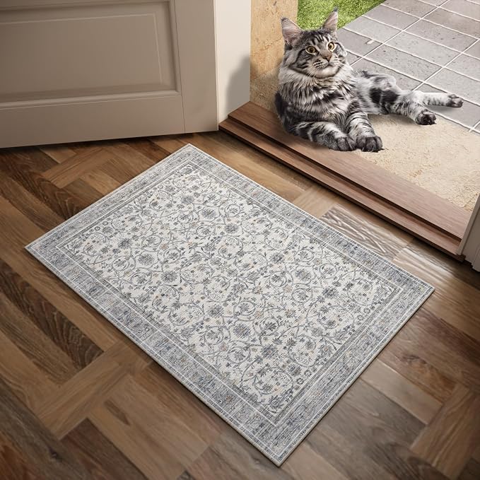 Machine Washable Entryway Small Area Rugs: Soft Non-Slip Low Pile Door Mat Indoor Entrance 2x3 ThrowRug for High-Traffic Areas Kitchen, Hallway, Farmhouse Decor