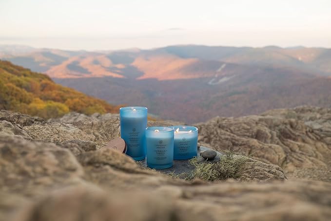 Chesapeake Bay Candle Scented Candle Confidence + Freedom (Oak Moss Amber) Medium Home Décor 8.8oz (Pack of 4)