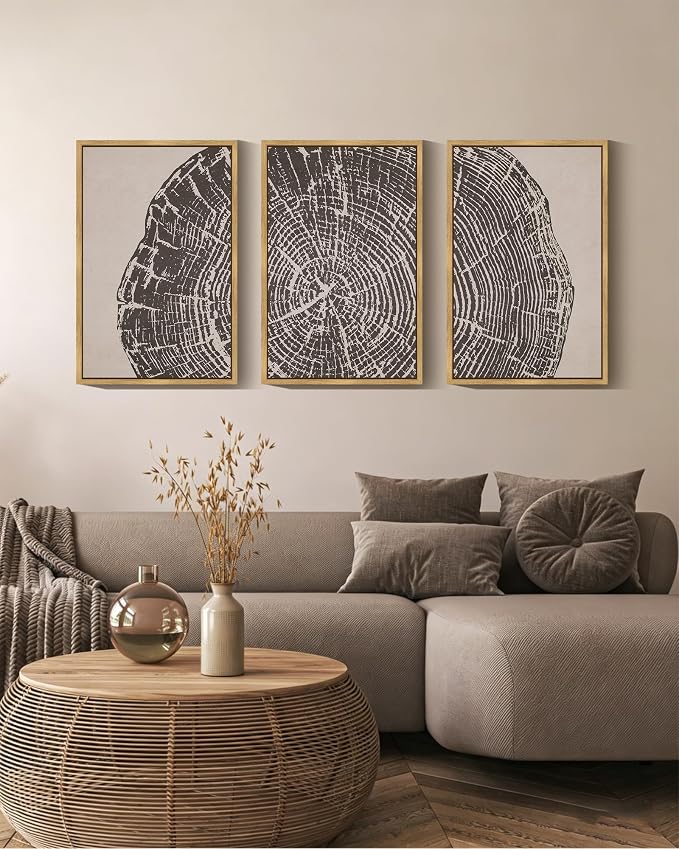 PHOPAGO Farmhouse Vintage Framed Wall Art Large 16x24in Set Gray Wood Tree Ring Spirals Nature Abstract Drawings Rustic Modern Art Decor for Living Room Bedroom - Natural Framed