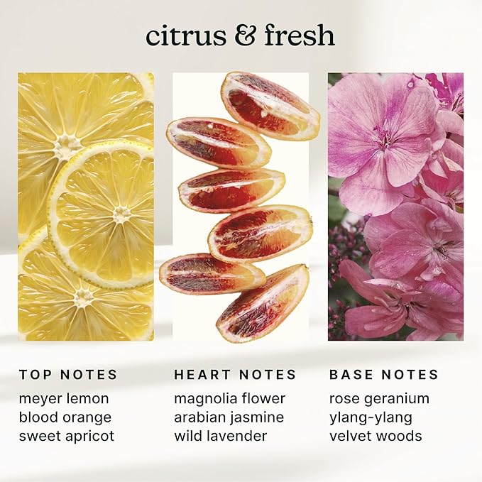 Homedics SereneScent Waterless Diffuser Oil Refill — Amalfi Bliss (120ml). Clean, Safe, Fresh & Floral Home Fragrance. Compatible with SereneScent Diffusers. Easy Twist Plug & Play.