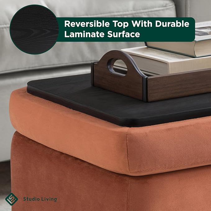 Studio Living® Connor 24" Small Storage Ottoman, Modern Boho, Matte Black Metal Legs, Velvet Fabric, Rust
