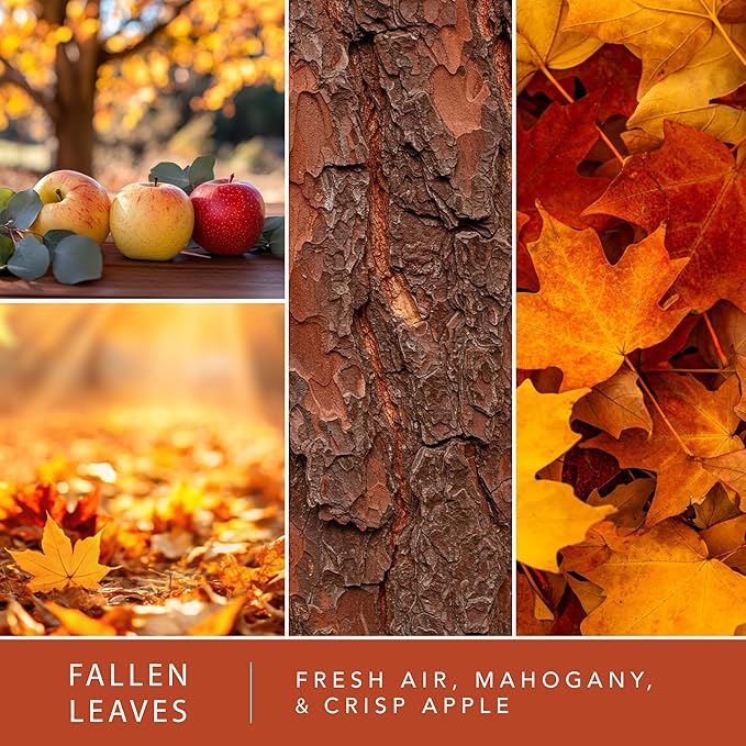 Scentsationals Fall Wax Melts - Harvest Home 4-Pack – Long Lasting Wax Cubes with Strong Scent for Warmers – Includes Warm Apple Pie, Vanilla Pine, Fallen Leaves & Feelin Cozy - 10oz (24-Cubes)