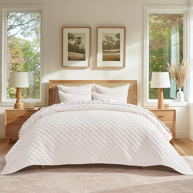 EVERGRACE Luxury Velvet Quilt Set Queen Size, Diamond Quilted Lightweight Velvet Comforter for All Season, Ultra Soft Oversized Bedspread Coverlet Bedding Set with 2 Pillow Shams, Ivory White | Luxe Velvet