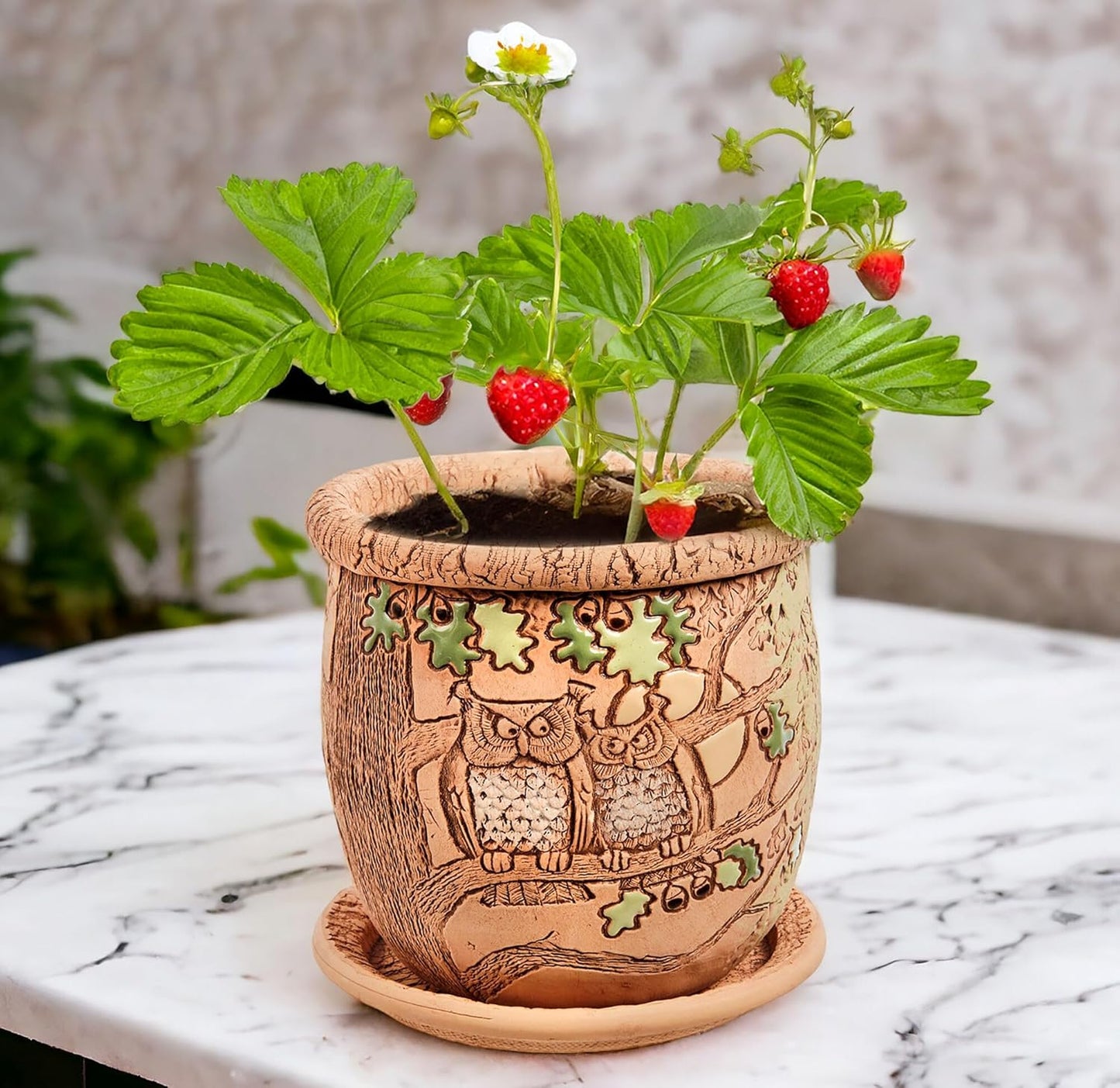 Ceramic Pot with Drainage Hole and Saucer, Plant Pots, Modern Decorative Planters for House Plants Indoor Flowers Plants, Cute Flower Pot - Gifts (Owls (1.6 L))