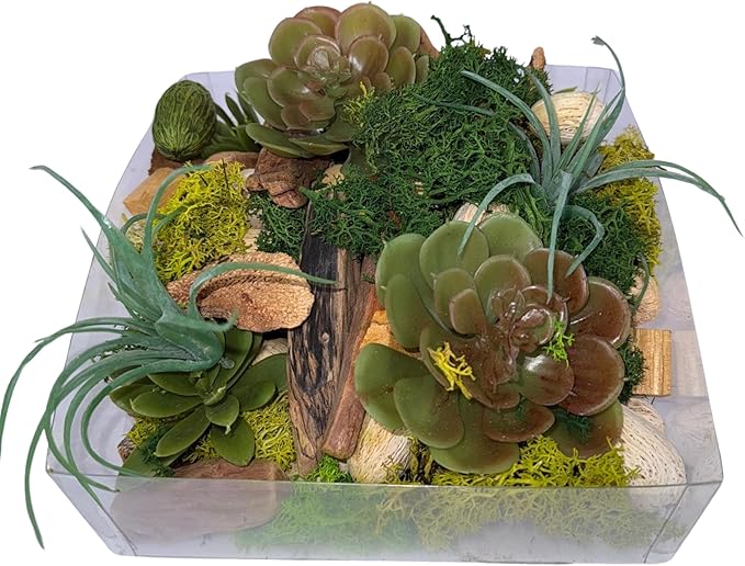 ANDALUCA Maison Box Fragrance Potpourri Decorative Succulent Moss Vase & Bowl Filler Home Décor (Moss Forest)