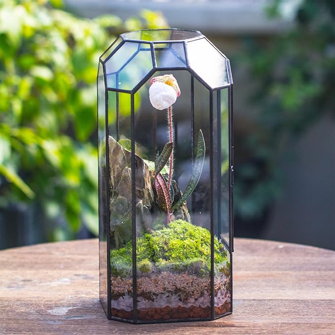 NCYP Glass Geometric Octagon Plant Terrarium with Door 5.5"x5.5"x12.8" | Indoor Vintage Planter for Tall Plants, Orchid, Small Begonia Pitcher, Home Garden Office Tabletop Decor (Terrarium Only)