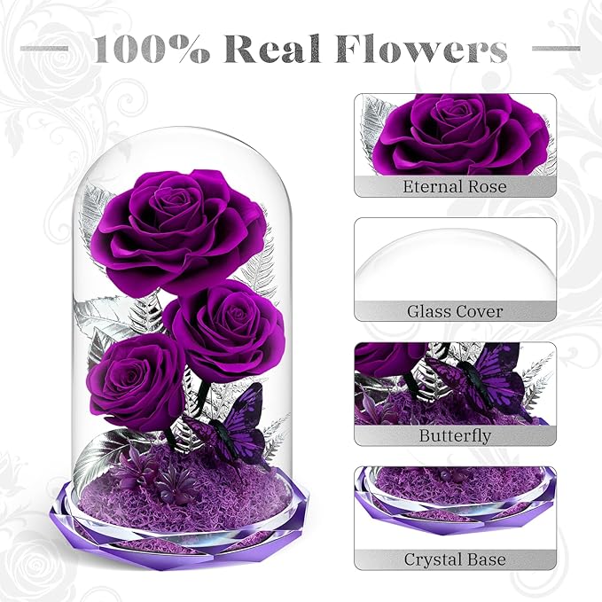 Forever Roses in Glass Dome - Preserved Flowers,Birthday for Her Women Valentine's Day, Mother's Day, Anniversary A-Grade Purple Roses, Home Decor for Girlfriend,Wife, Mom (Purple)