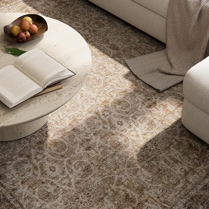 Machine Washable Entryway Small Area Rugs: Soft Non-Slip Low Pile Door Mat Indoor Entrance 2x3 ThrowRug for High-Traffic Areas Kitchen, Hallway, Farmhouse Decor