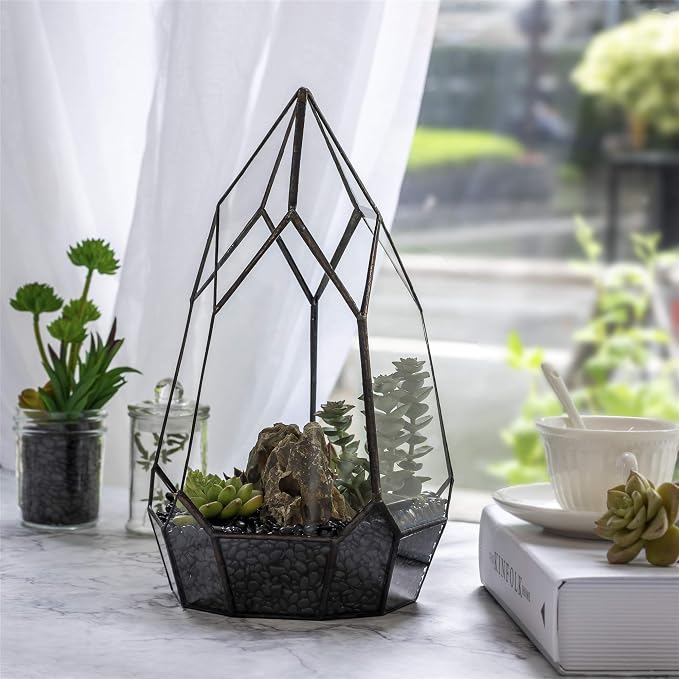 NCYP No Door Glass Geometric Terrarium Planter for Succulent Plants, Fern, Balcony Display Pot - Black Miniature Botanical Garden, Large (Terrarium Only) 12.2" Height, 7.1" Width
