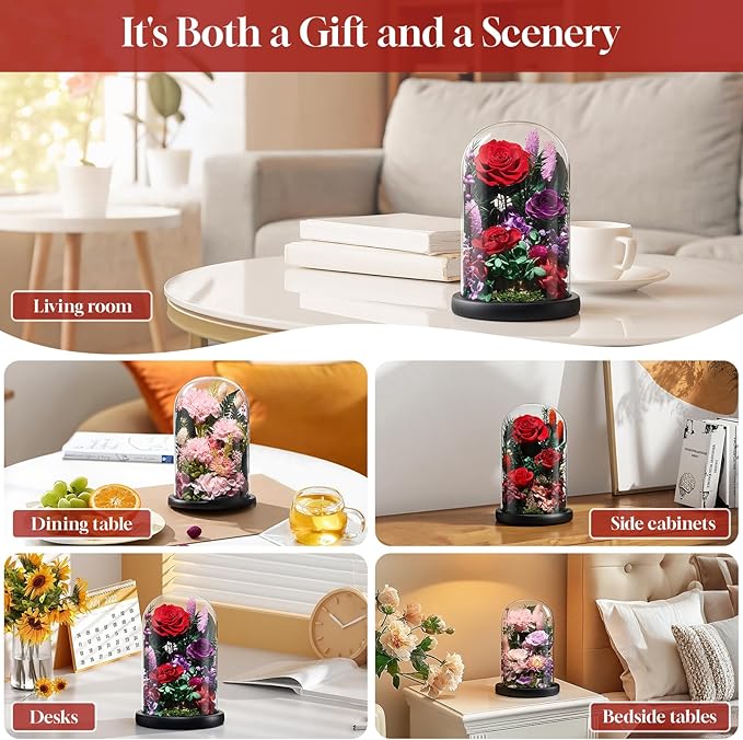 Preserved Roses,Forever Fresh Flowers 7.48in,Gift for Women,Mom,Grandma,Wife,Girlfriend,Sister,and Daughter Perfect for Birthday,Mother’s Day,Valentine’s Day (Sweetheart Carnation4)