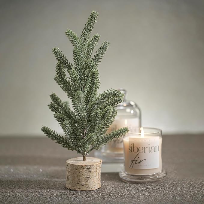 Zodax Apothecary Guild Scented Jar Candle with Glass Cloche - Single-Wick Candle for Home Decor - Makes a Great Gift for Women and Men - Siberian Fir Scent - 10.19 Oz.