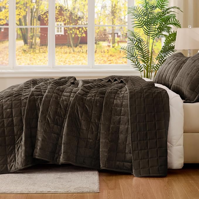 BEDELITE Velvet Quilt Set Queen Size - Luxury Soft Velvet Comforter Bedding Set for All Season, Lightweight Quilted Box Stitch Oversized Bedspread Coverlet with 2 Matching Shams, Mocha Brown