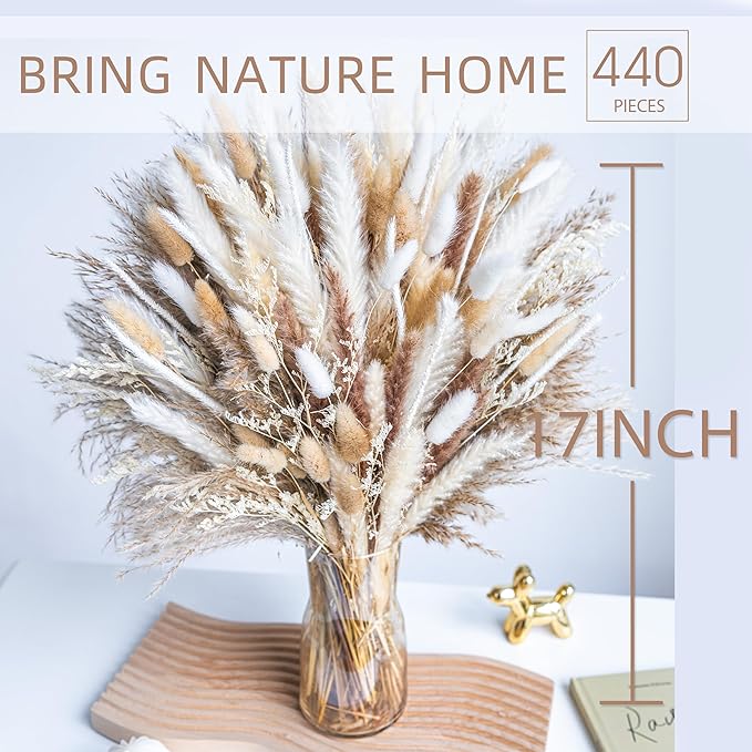 440PCS Natural Dried Pampas Grass Boho Home Decor Bouquet Phragmites Dried Flowers Bouquet for Wedding Floral Arrangements Home Decorations (440PCS)