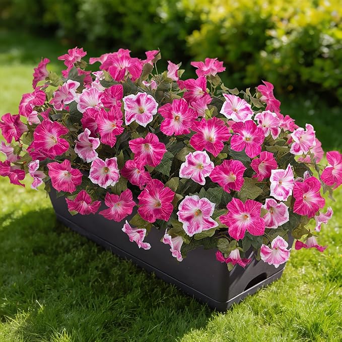 Ammyoo 6 Pcs Artificial Flowers Fake Petunias for Outdoors, Faux Flowers for Outdoor Planter, UV Resistant Realistic Fake Plants for Outside No Fade for Garden Porch Patio Indoor Room Decor(Fuchsia)