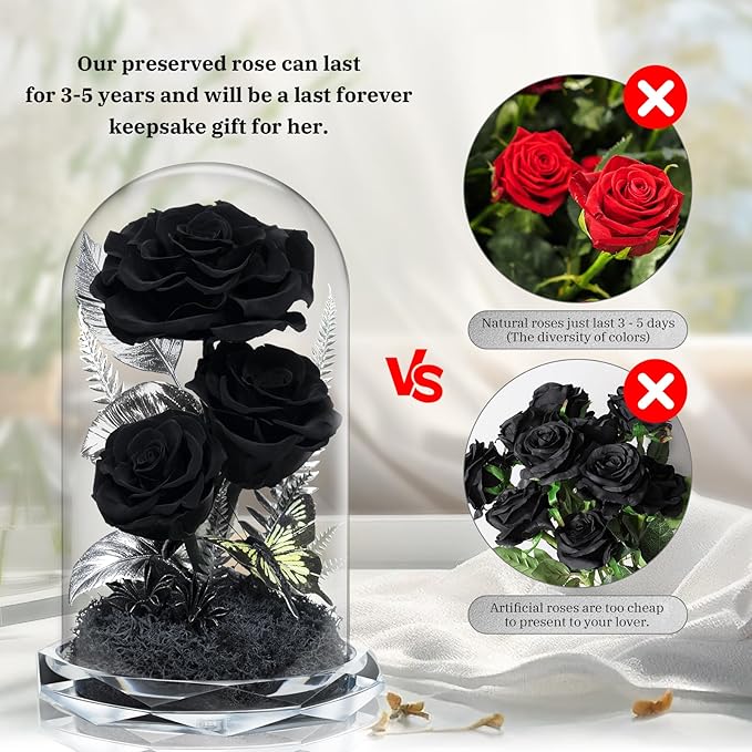 Forever Flowers in Glass Dome - Preserved Roses, for Her Women Valentine's Day, Mother's Day, Anniversary A-Grade Black Roses, Home Decor for Girlfriend, Wife, Sister, Mom (Black)