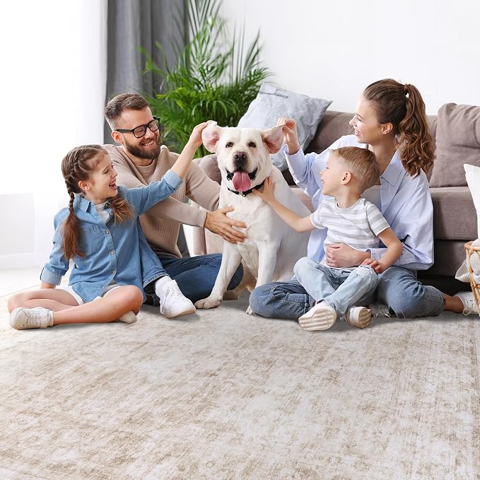 6x9 Area Rugs for Living Room Rug Washable: Modern Rug for Dining Room Bedroom Carpet Non Slip Low Pile 6 by 9 Indoor Abstract Nursery Home Office Beige White