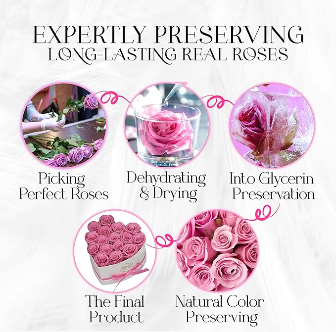 GLAMOUR BOUTIQUE Preserved Roses in a Box - Gifts for Her, Wife & Mom, Rose Flowers Forever Decor for Birthday Gift, Get Well Flower Bouquet Cased in White Box with Cover - Pink - 16 (Color-Treated)