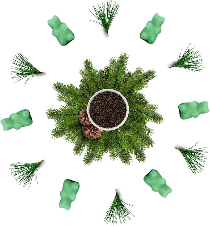 Happy Wax Cozy Cabin Winter Scented All Natural, Non Toxic Soy Wax Melts; 6 Total Oz. of Scented Wax Melts, Collection Includes Bonfire, Bourbon &Wood and Pine Forest