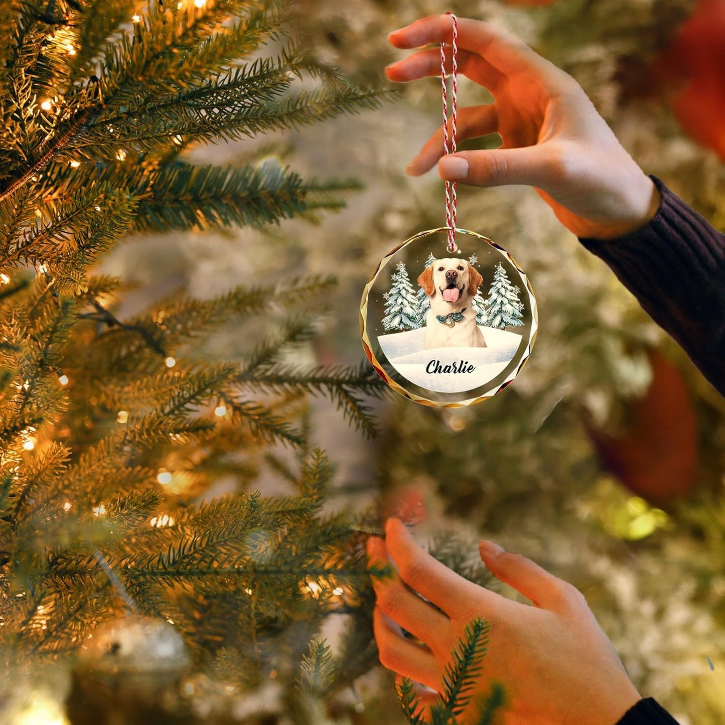 Custom Pet Christmas Ornament with Photo – Personalized Crystal Dog Cat Memorial Gift – Snow Scene Holiday Decor