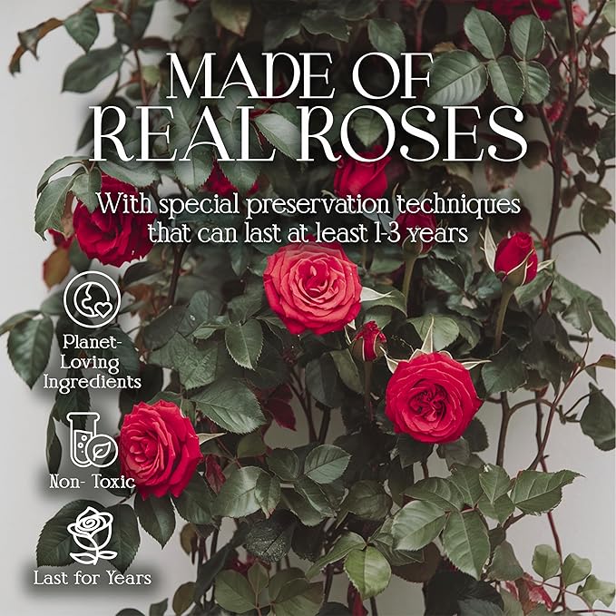 GLAMOUR BOUTIQUE Preserved Roses in a Box - Gifts for Her, Wife & Mom, Rose Flowers Forever Decor for Birthday Gift, Get Well Flower Bouquet Cased in White Box with Cover - Red - 16 (Color-Treated)