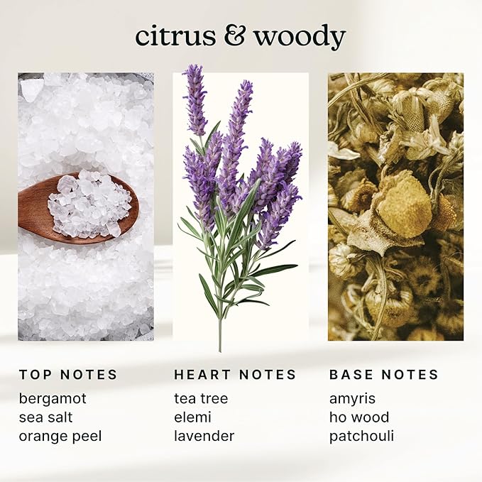 Homedics SereneScent Waterless Diffuser Oil Refill — White Sage & Moss (120ml). Fresh & Earthy Home Fragrance. Compatible with SereneScent Diffusers. Easy Twist Plug & Play