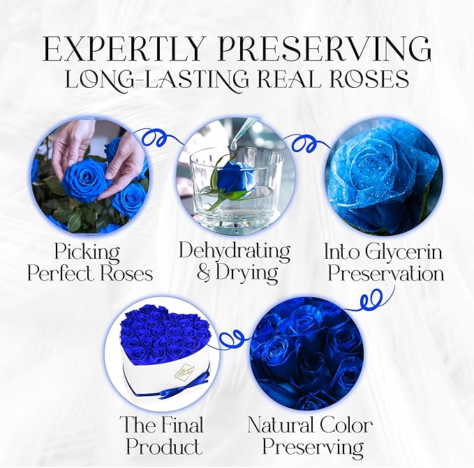 GLAMOUR BOUTIQUE Preserved Roses in a Box - Gifts for Her, Wife & Mom, Rose Flowers Forever Decor for Birthday Gift, Get Well Flower Bouquet Cased in White Box with Cover, Blue, 27 (Color-Treated)