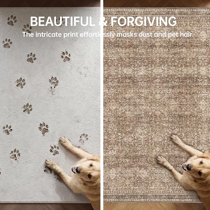 Sasttie 3x5 Rug, Ultra-Soft Washable Rug, Low Pile Foldable Thin Carpets with Non-Slip Backing, Skin-Friendly Stain Resistant Carpet for Living Room, Bedroom, Kitchen, Dorm, 3x5, Dark Brown