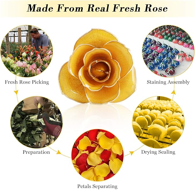 Ejoyous Gold Plated Rose, 24K Gold Dipped Real Rose Flower Lover Mom Wife Daughter Girl Friend, Present on Mother's Day, Wedding Anniversary, Birthday, Proposal, Reward (Yellow