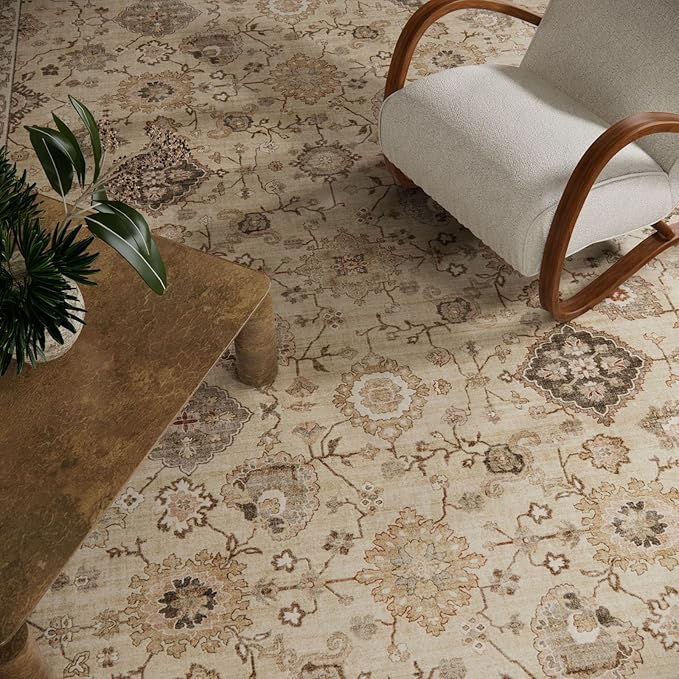 Machine Washable Rug for Living Room: 6x9 Area Rugs Boho Vintage Rug Stain Resistant Non Slip Low Pile Soft Lightweight Carpets for Bedroom Kitchen Dining Room Nursery Kids Room Farmhouse