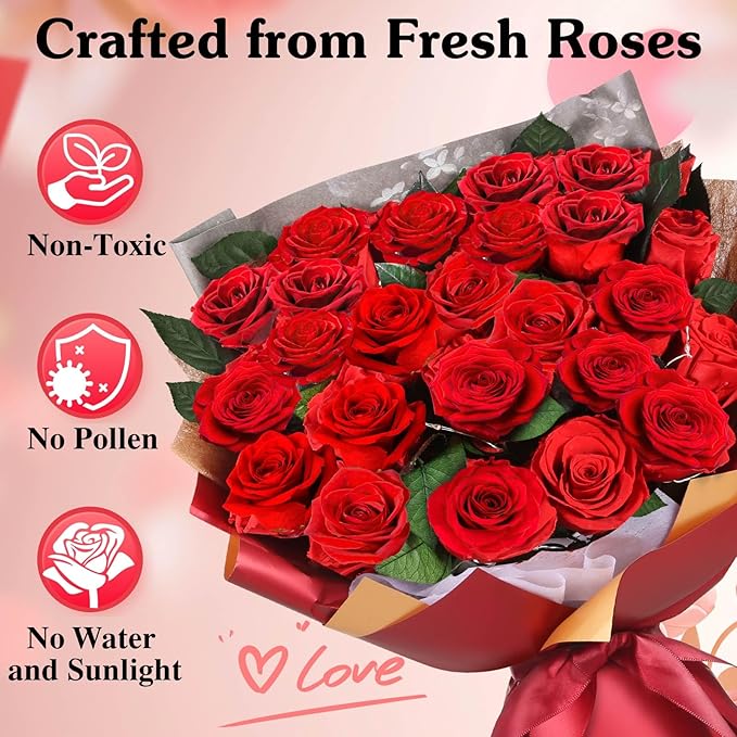 ADDWel 24 Preserved Red Roses Bouquet - Real Roses That Last 3+ Years, Romantic Anniversary & Birthday Gifts for Women, Wife, Girlfriend - Two Dozen Infinity Flowers for Delivery
