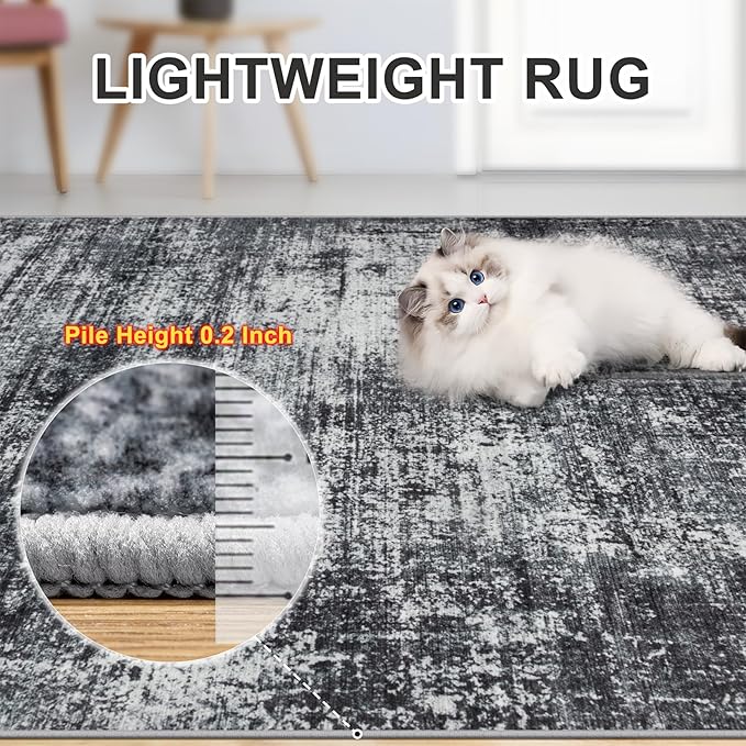 Area Rugs 10x14 Living Room - Washable Rug Modern Abstract Soft Large Neutral Non-Slip Carpet Indoor Floor Thin Carpets for Bedroom Dining Room Farmhouse Nursery Home Office Dark Black