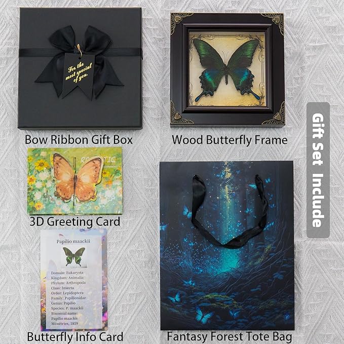 Handmade Real Butterfly Taxidermy Framed - 5-Piece Gift Set for Mother's Day - Gothic Home Decor and Vintage Frame - Butterflies Taxidermy Shadow Box Collection (Schrenck's Emperor Butterfly)