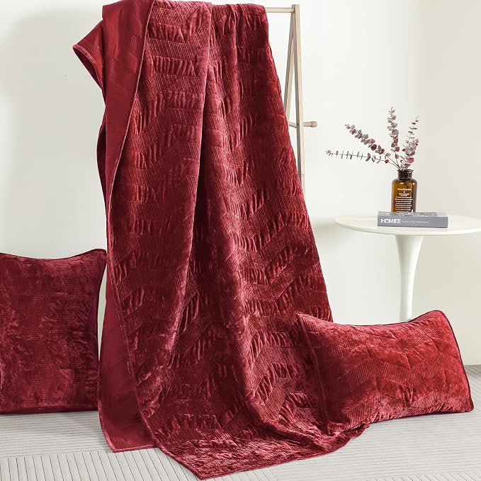 SHALALA Luxury Velvet Quilt Set Queen Size,Ultra Soft Lightweight Summer Velvet Comforter Set, Oversized Bedspread Coverlet with 2 Shams Geometries Pattern,for All Season(Poinsettia,Queen)