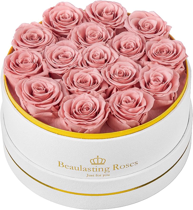 16 Preserved Roses Forever Flowers Real Roses in a Box Mother's Day Birthday Flowers for Her Mom Women Wife Valentine's Day, Dusty Pink Roses