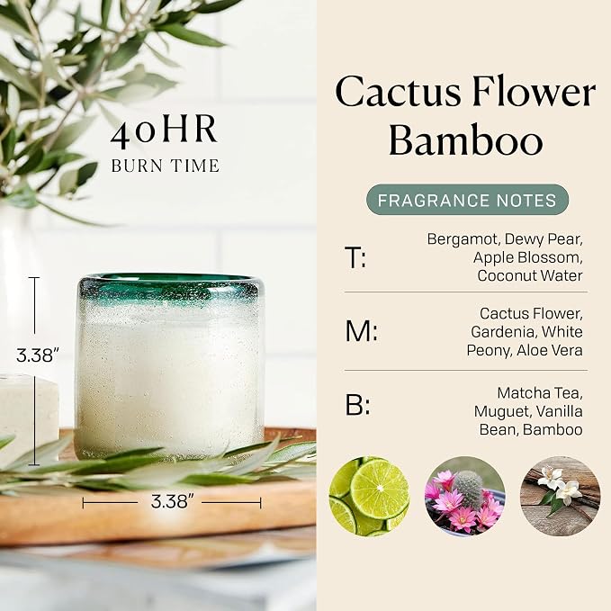 Paddywax La Playa, Cactus Flower + Bamboo Scented Candle in Reusable Hand-Blown Bubble Glass, Soy Wax Candle with Approx. 40 Hour Burn Time, Decorative Gift Candle for Home, Cactus Flower + Bamboo